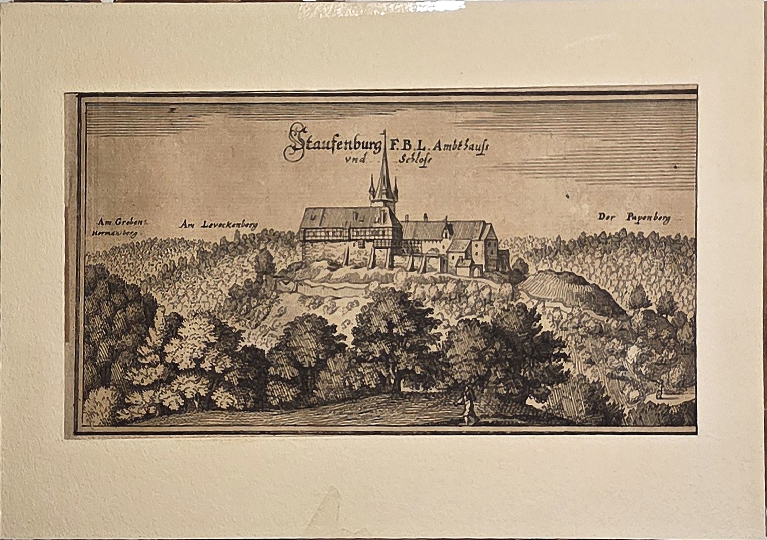 mit Stadtansicht hinter Baumgruppen