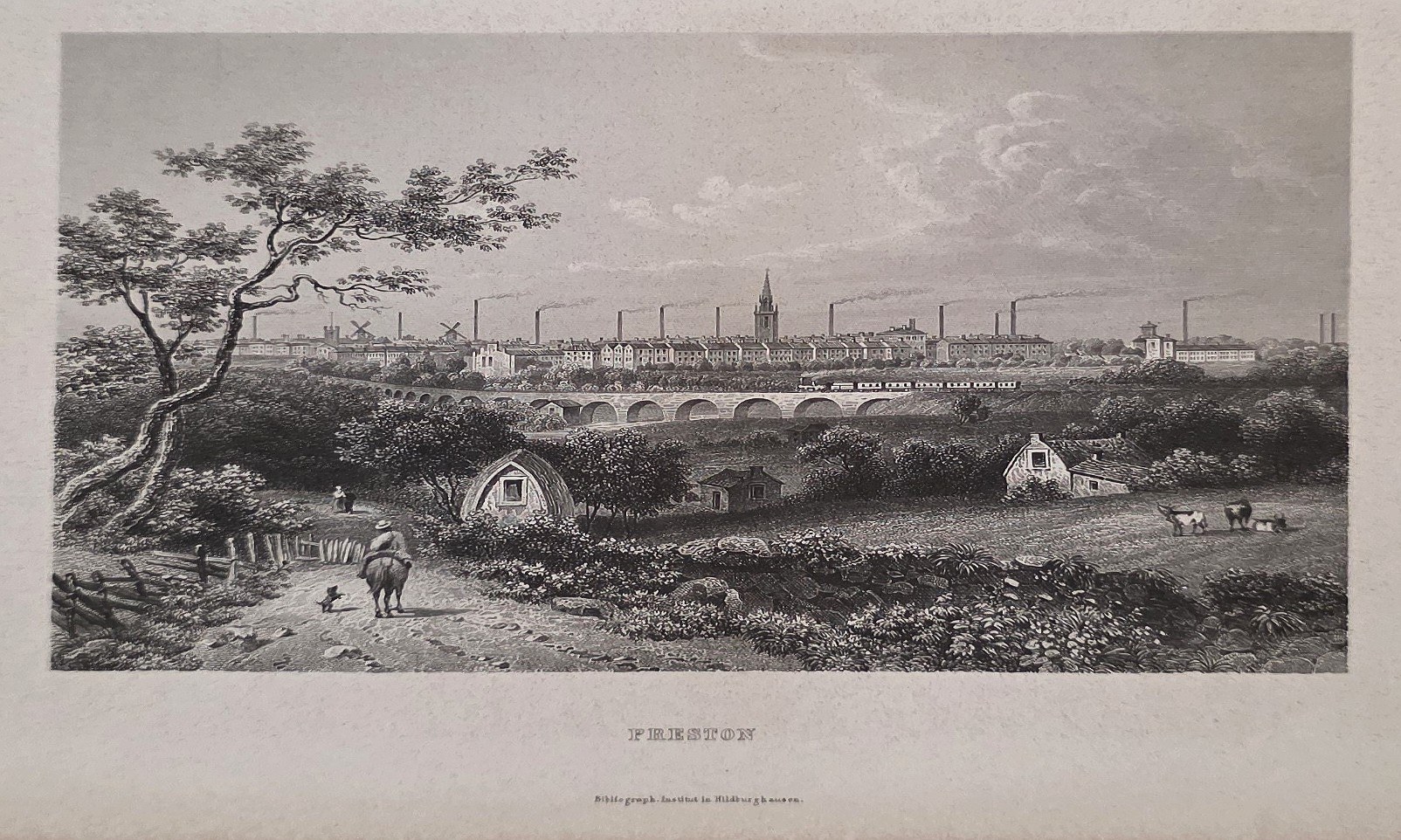 Weites Stadtpanorama mit Kirchtürmen