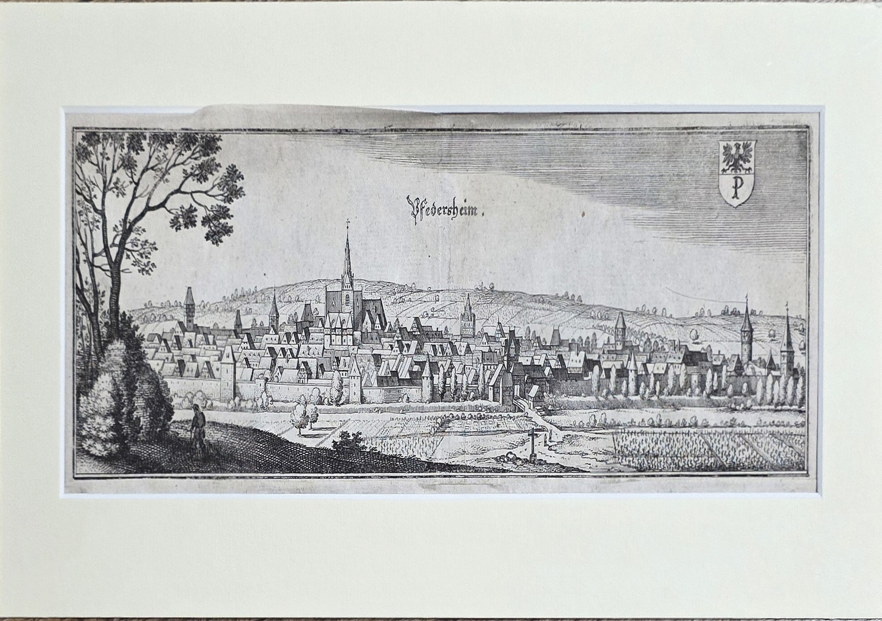 Panoramatische Stadtansicht mit Türmen und Flussufer