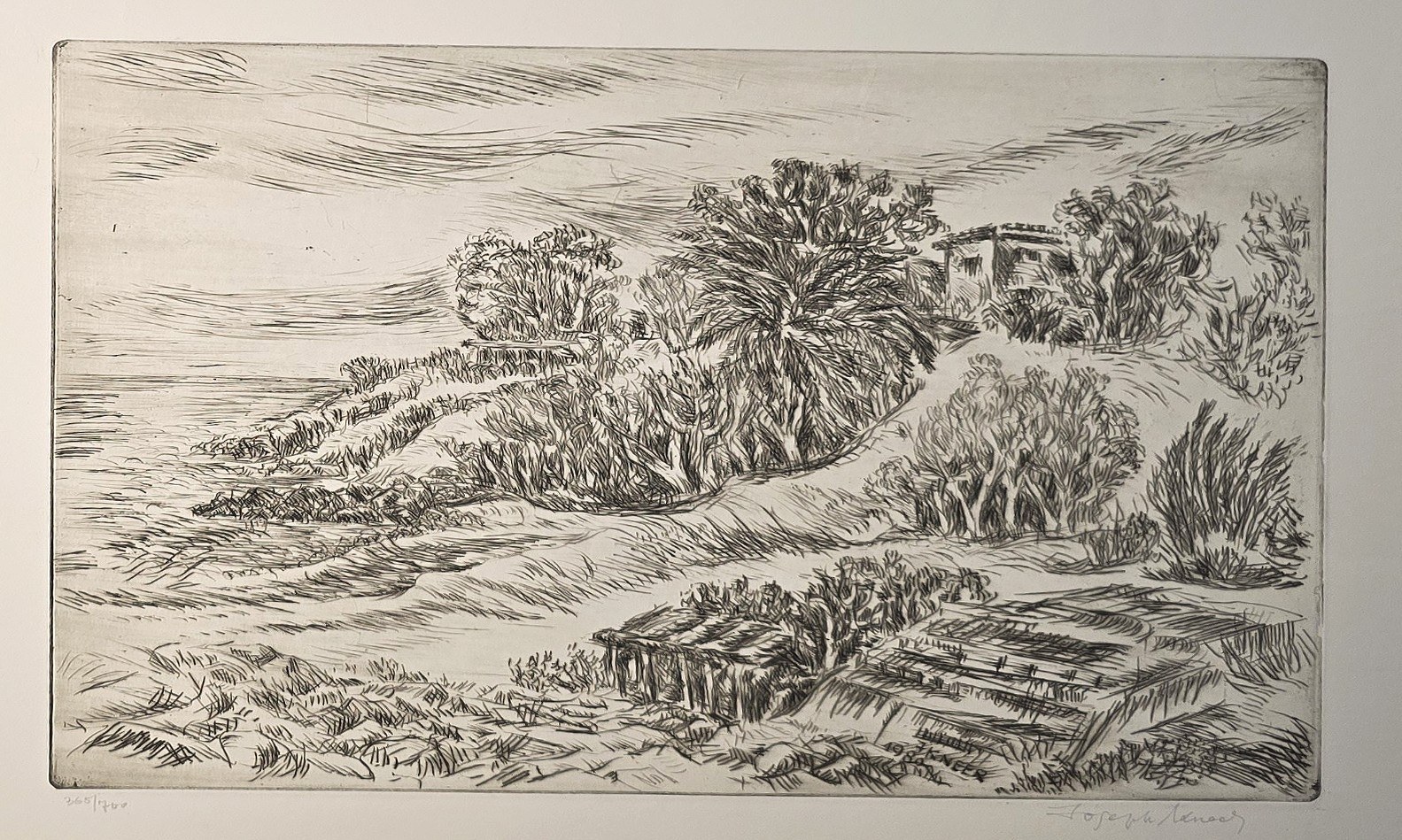 Weite Landschaft mit Bäumen und Feldern