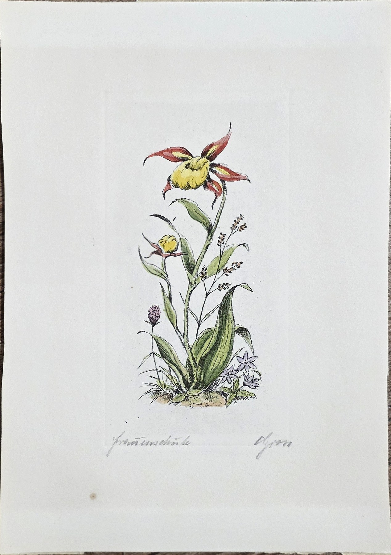 Botanisches Blatt mit blühender Pflanze