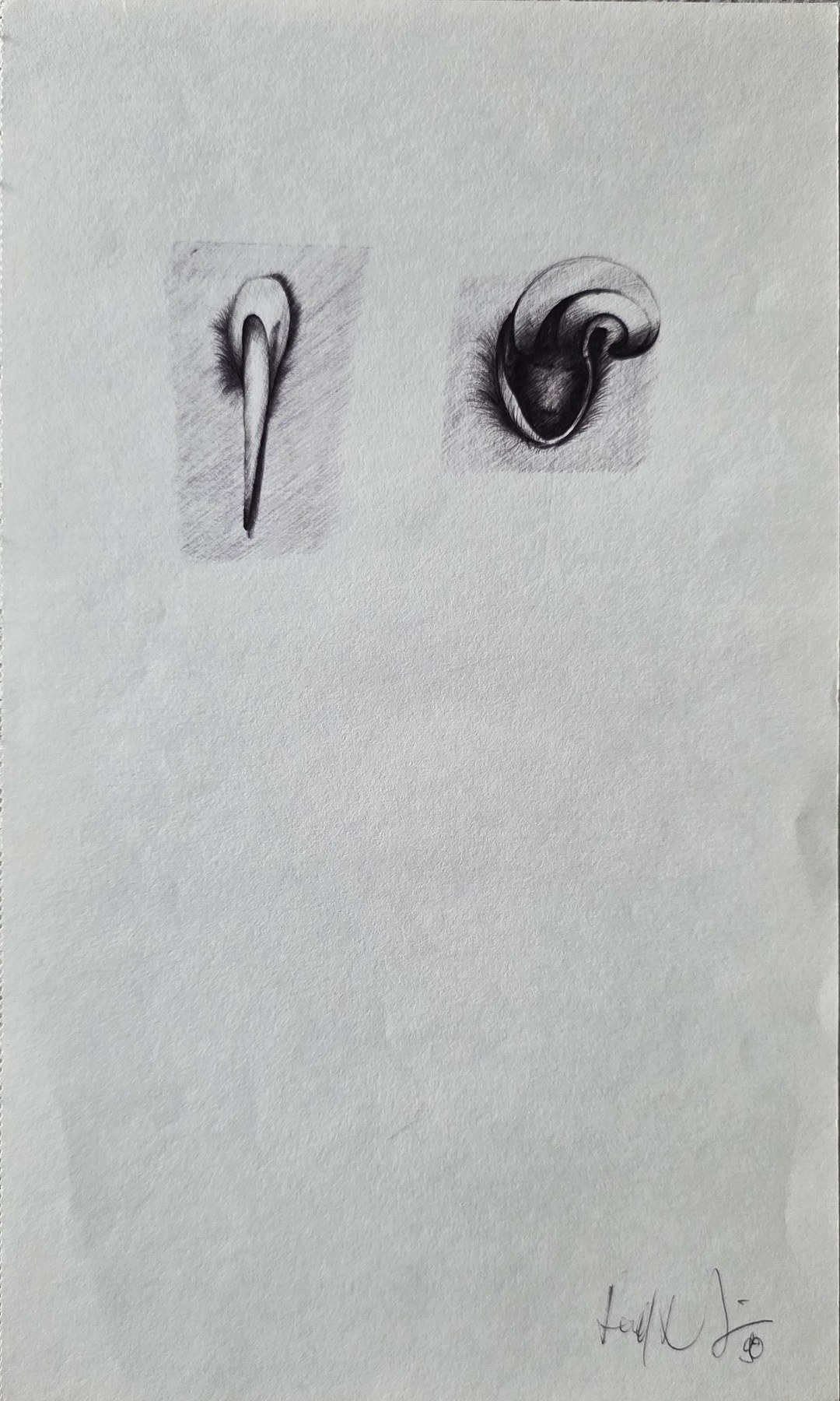 Detailblatt mit Auge und kleinen Formen