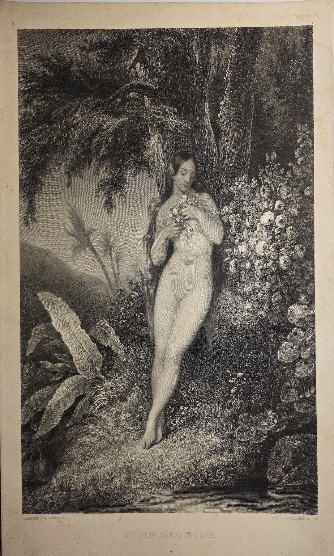 einer weiblichen Figur zwischen Blüten und exotischer Vegetation