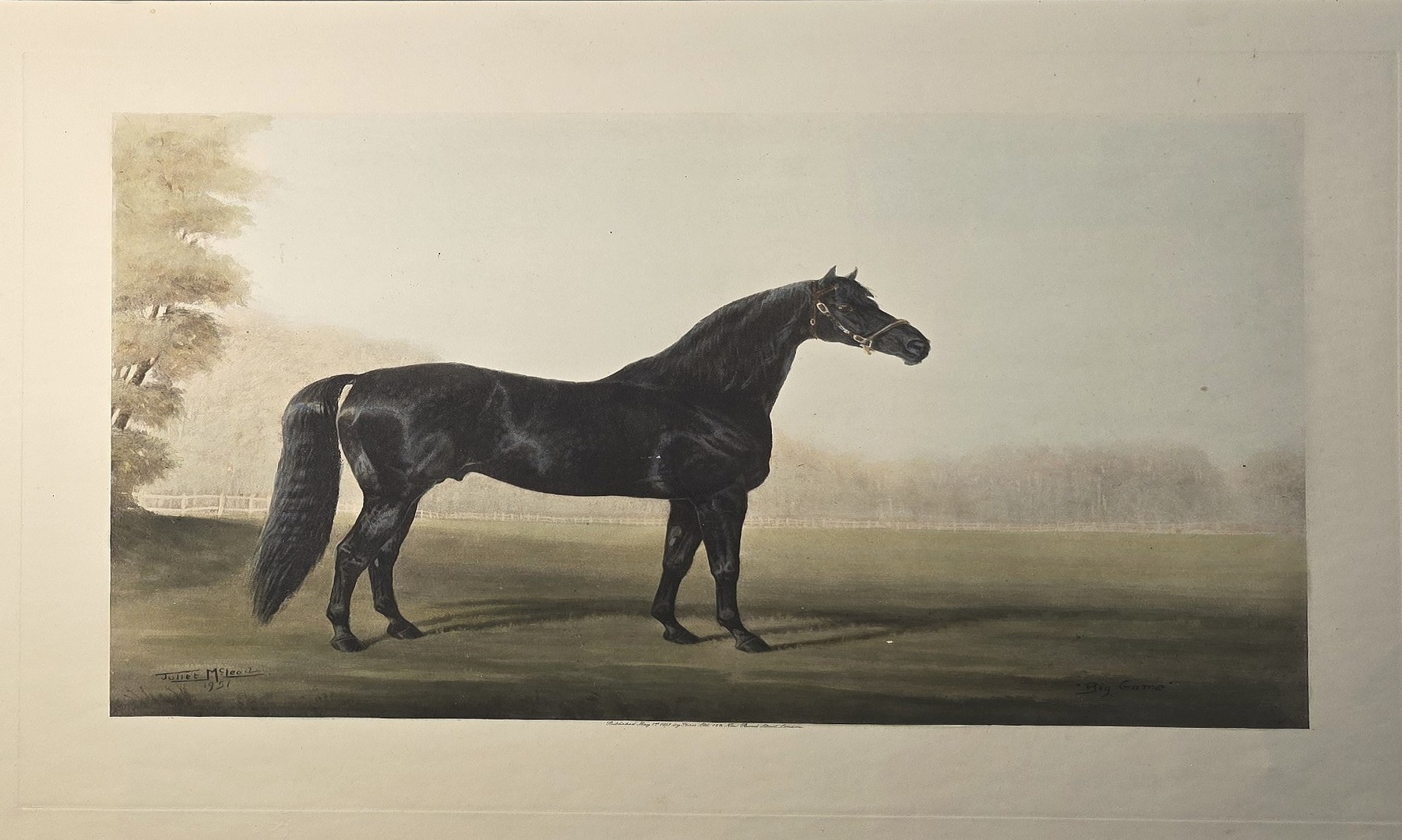 Schwarzes Pferd in weiter Landschaft