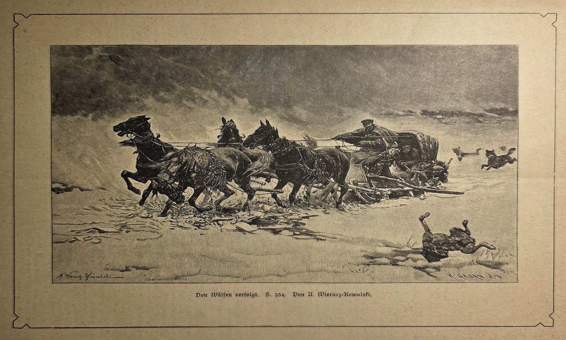 Pferdegespann in winterlicher Weite