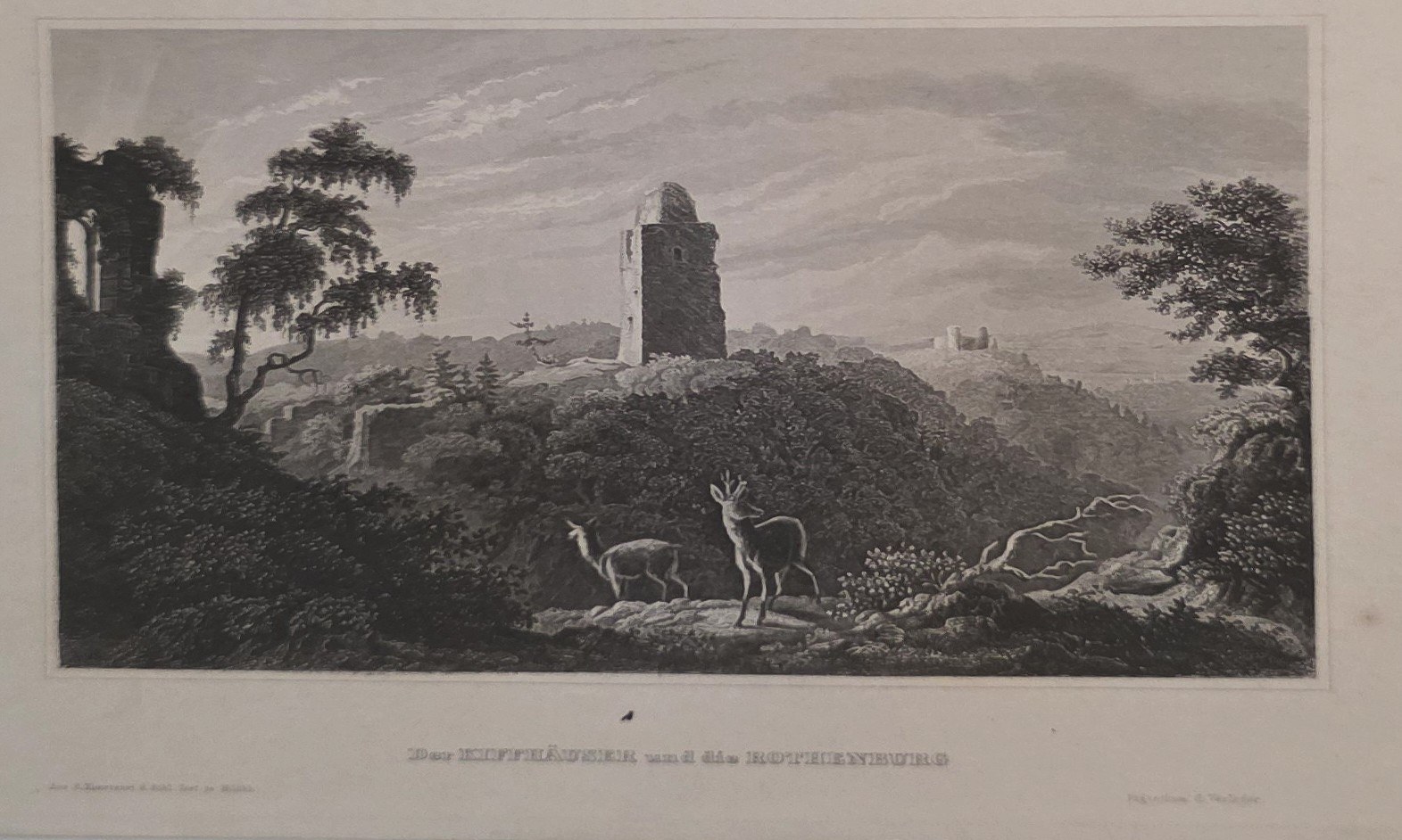 Bewaldete Ruinenlandschaft mit Fernblick