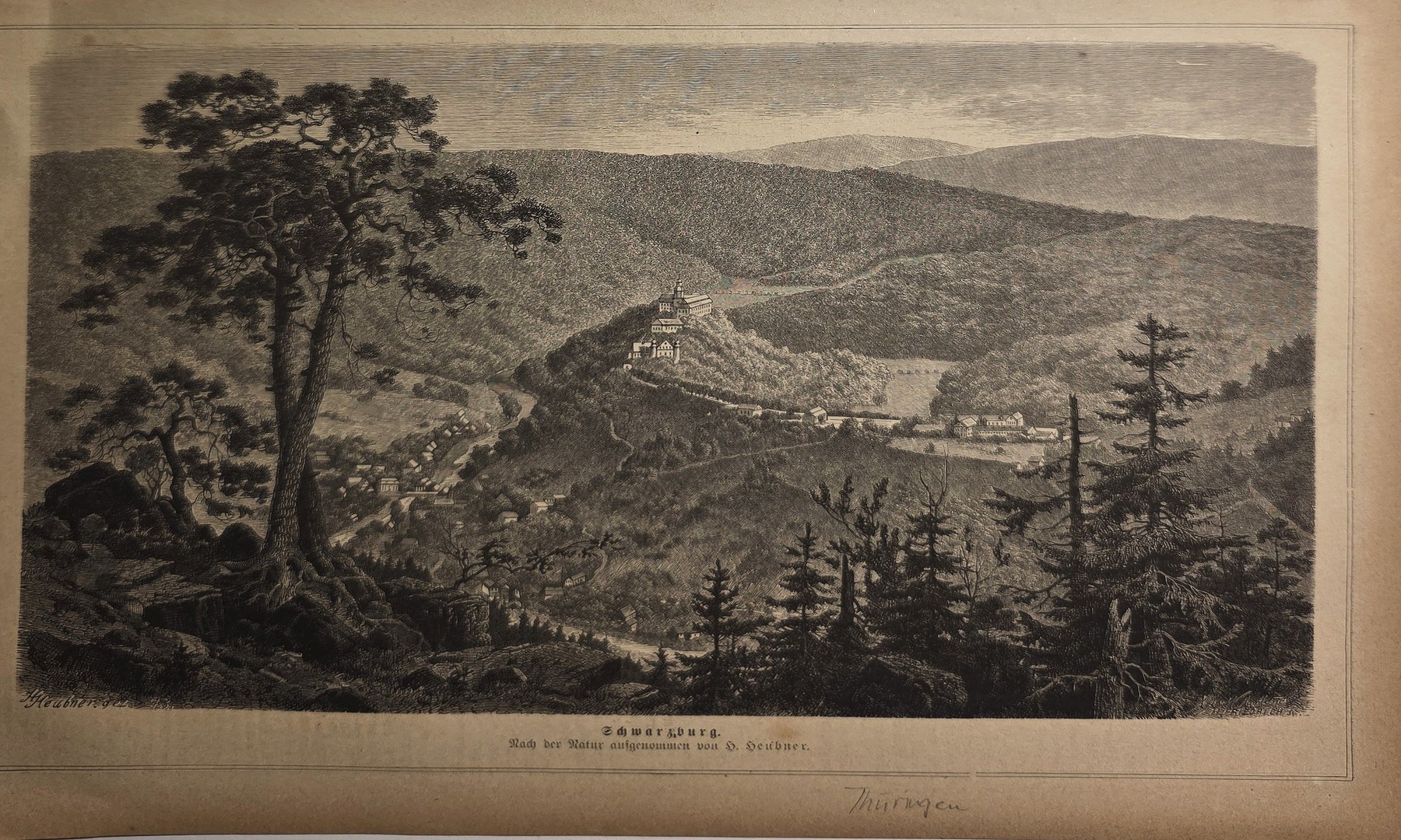 Panorama eines bewaldeten Flusstals
