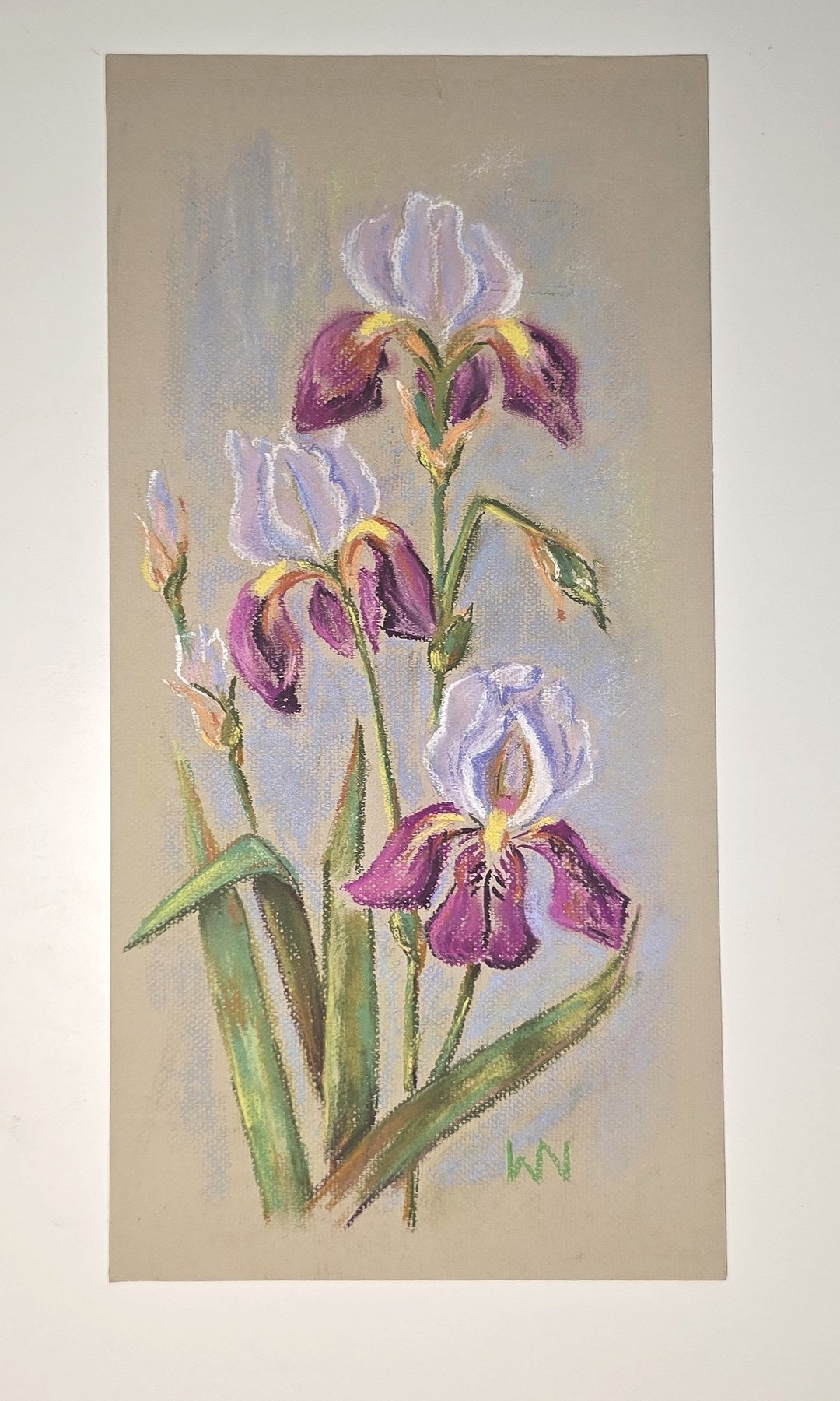 Aquarell mit violetten Schwertlilien