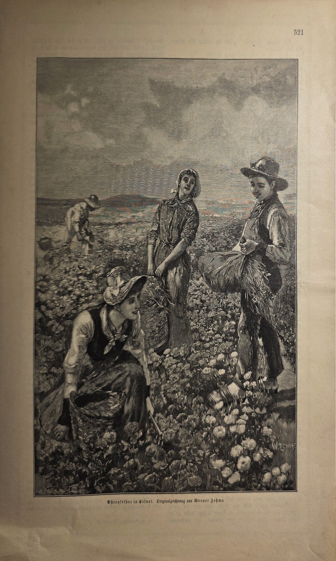 Frauen bei der Arbeit im Blumenfeld