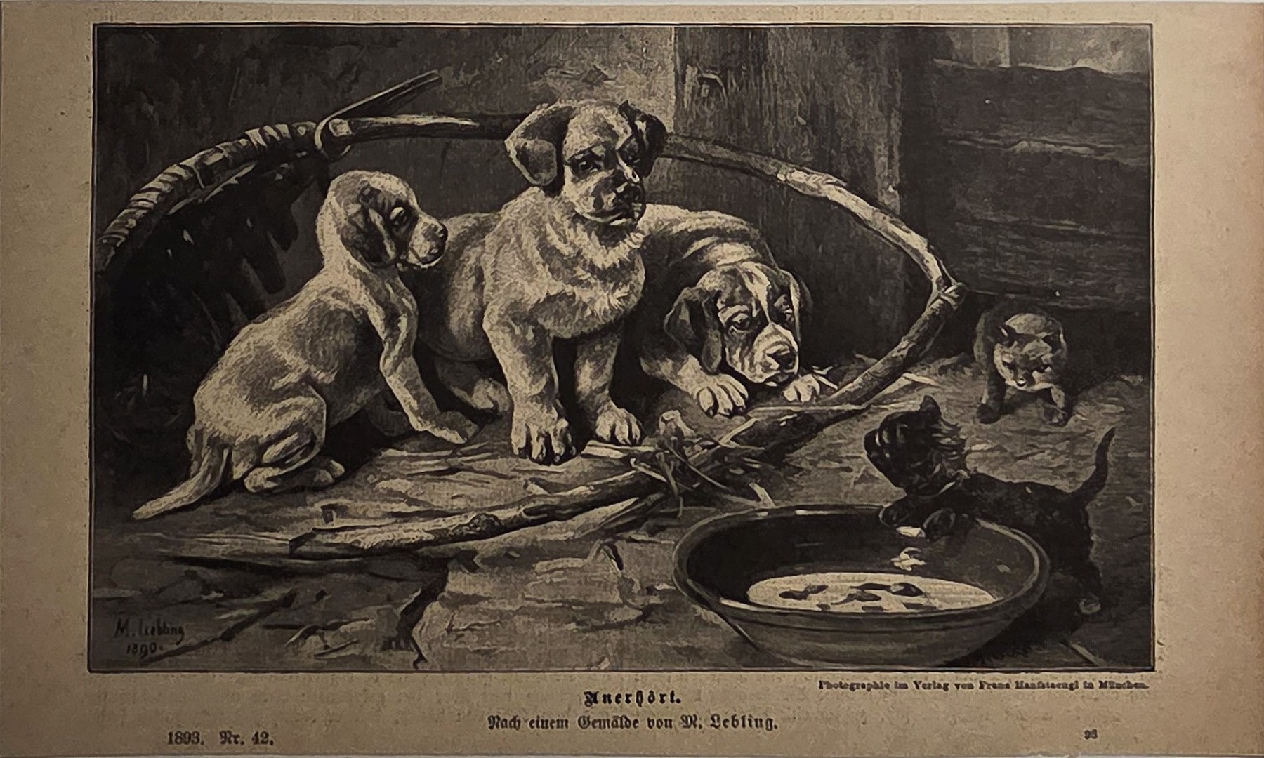 Mehrere junge Hunde rund um eine Schale