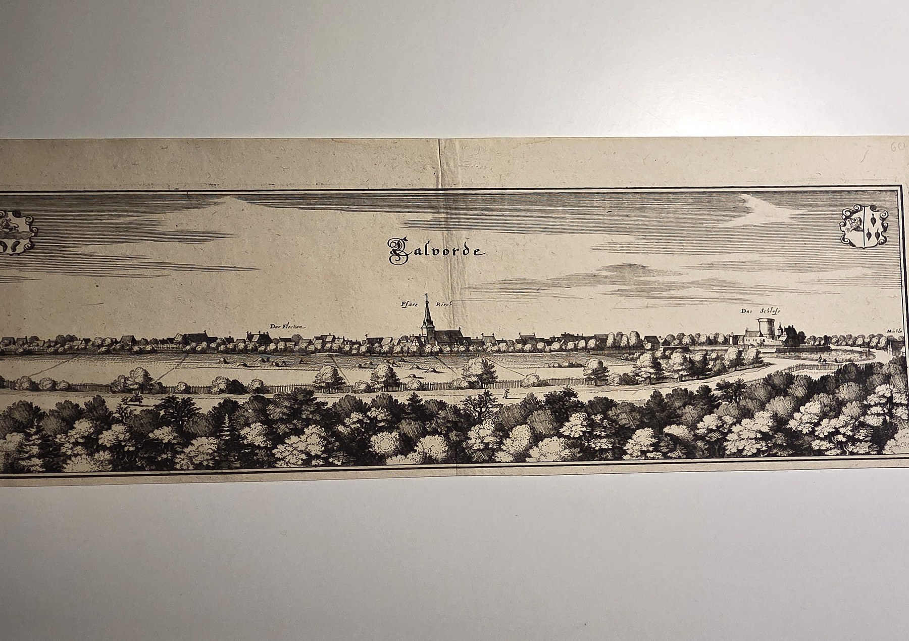 Weite Stadtansicht hinter Baumreihen