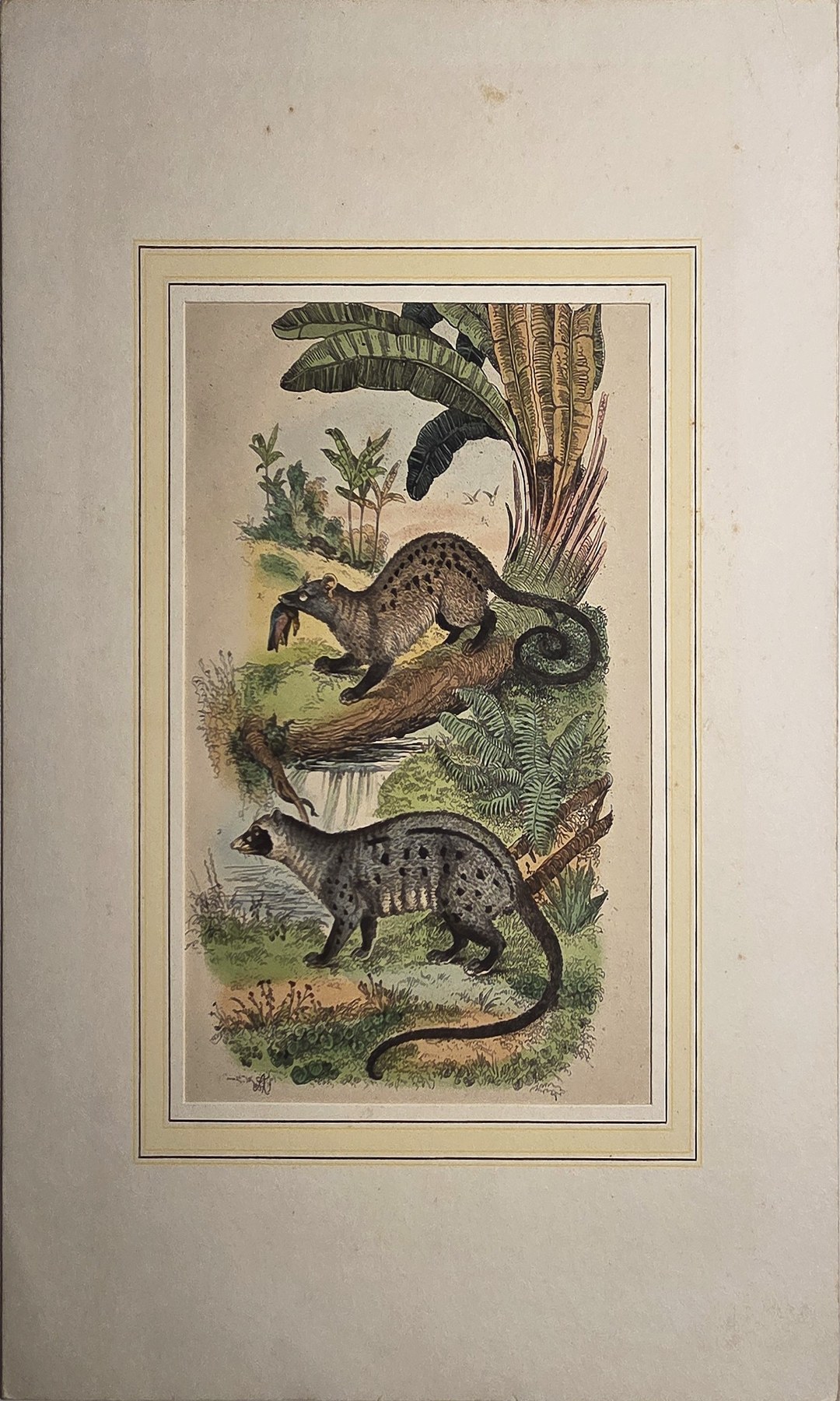 Historische Darstellung – Exotische Tiere zwischen tropischen Pflanzen