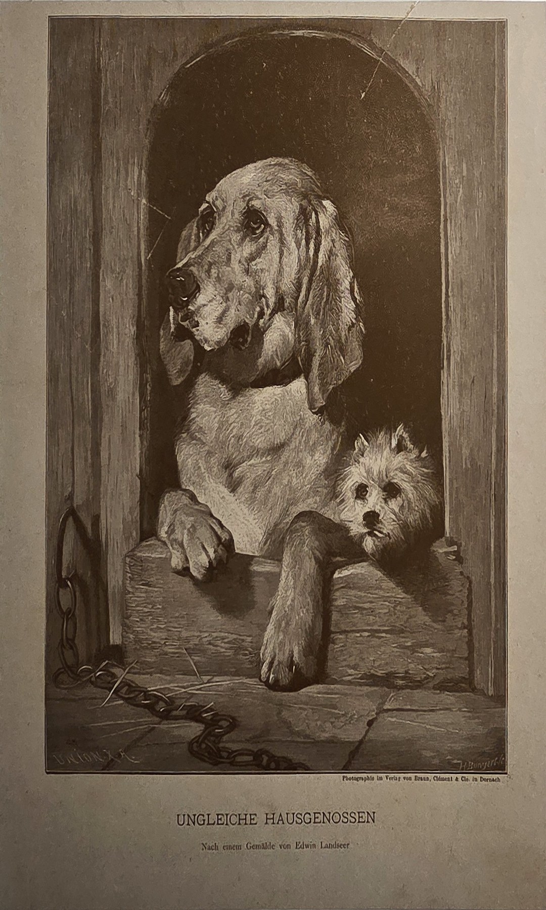 Großer Hund mit kleinem Tier im Hauseingang