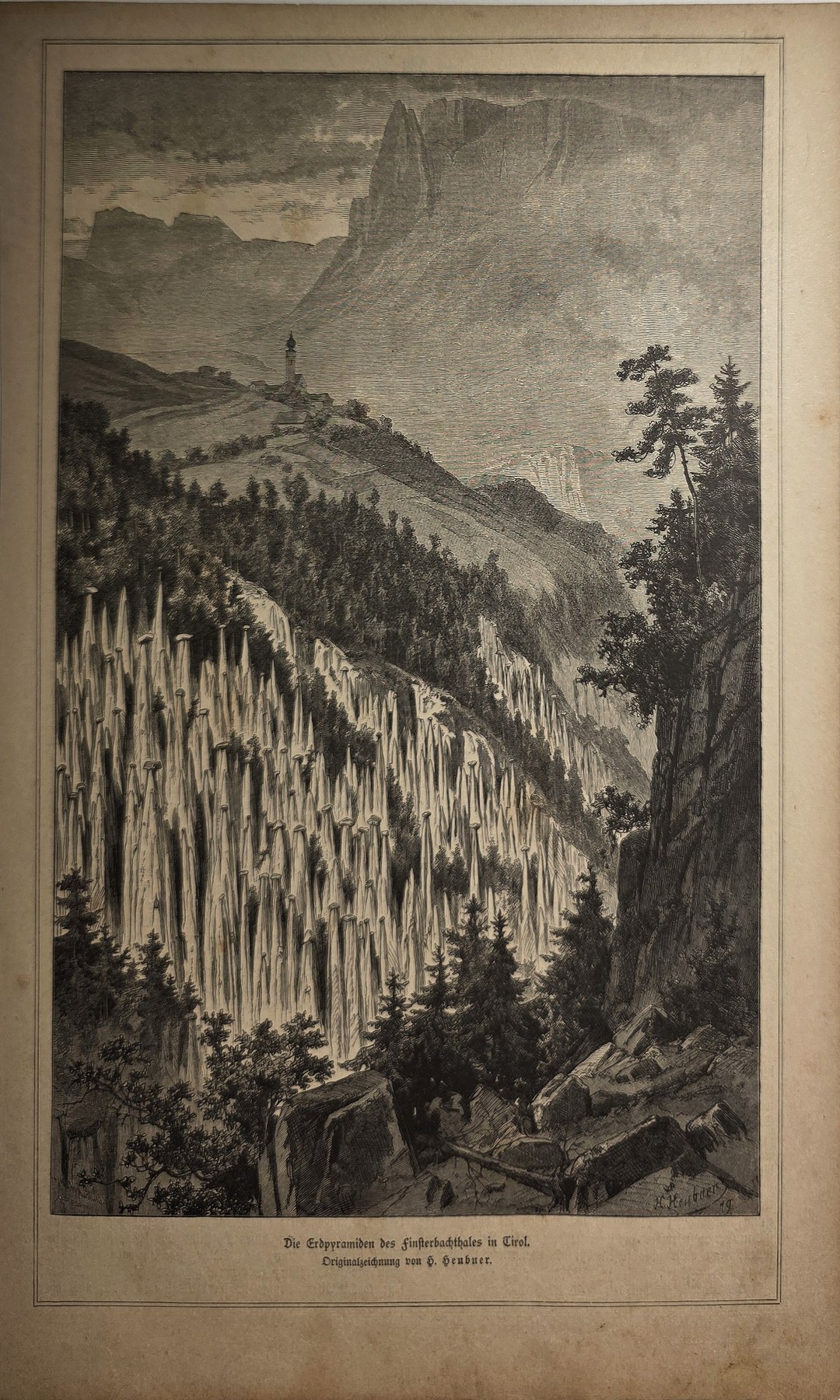 Steiler Berghang mit Nadelwald