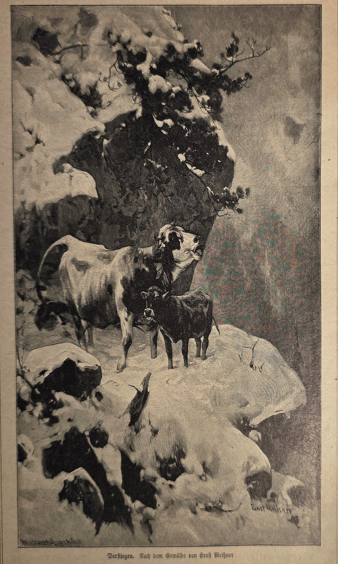 Kühe unter einem großen Baum