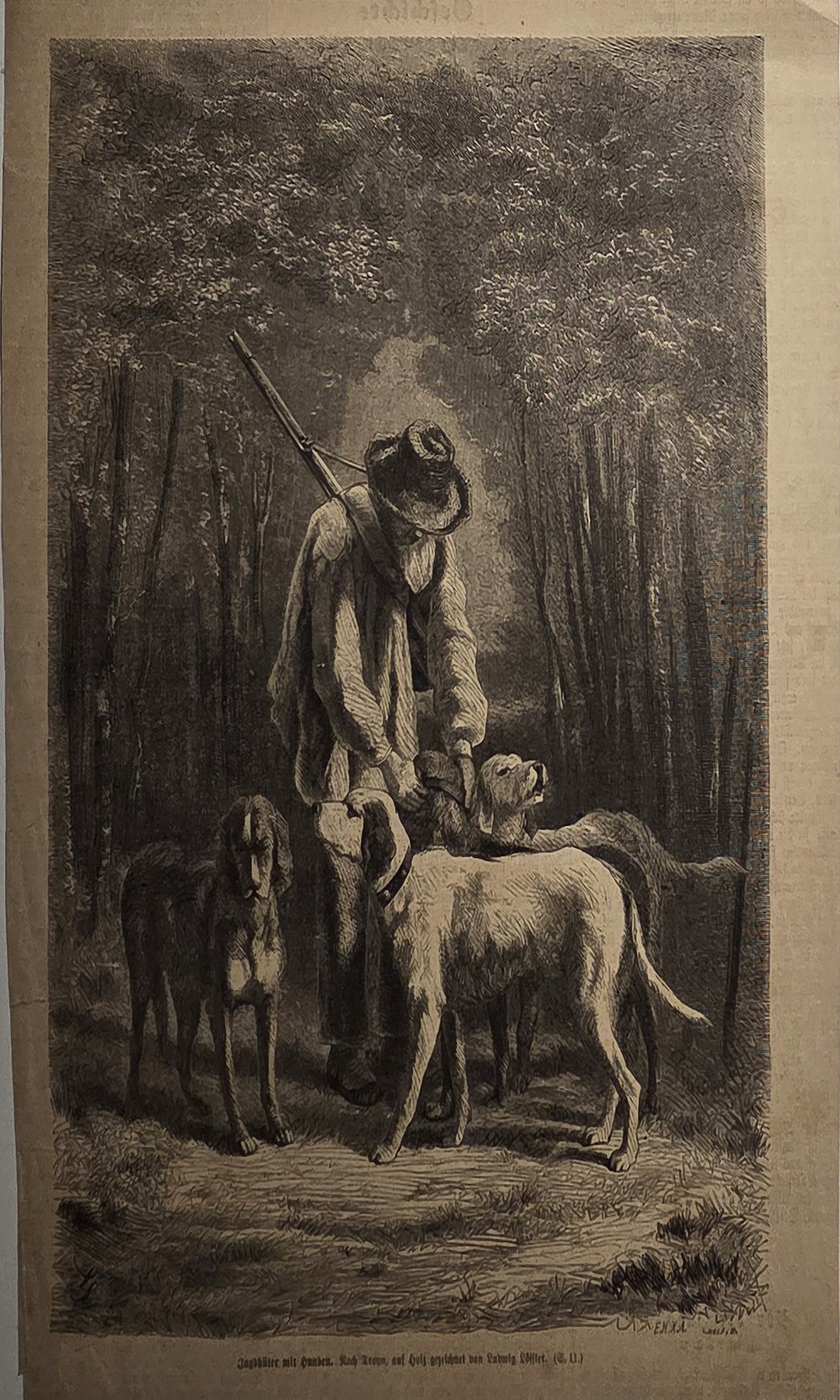 Frau mit Hund zwischen hohen Waldbäumen