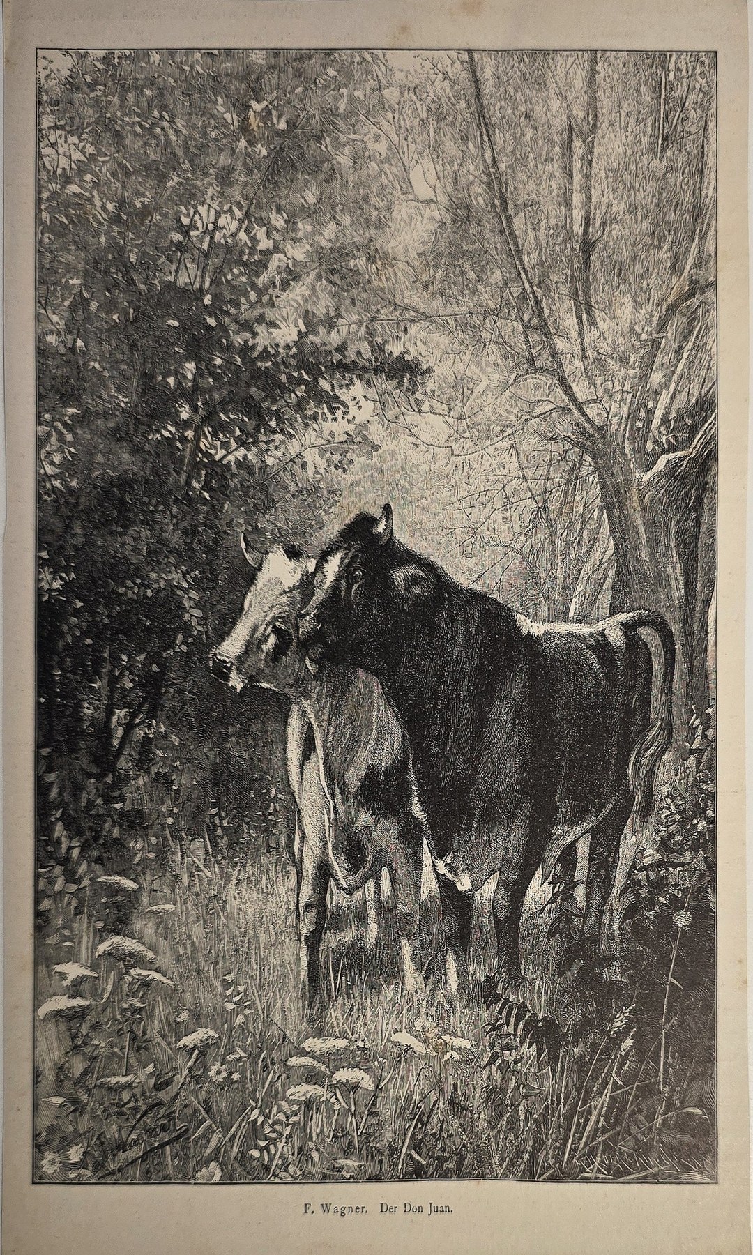 Pferd im Wald