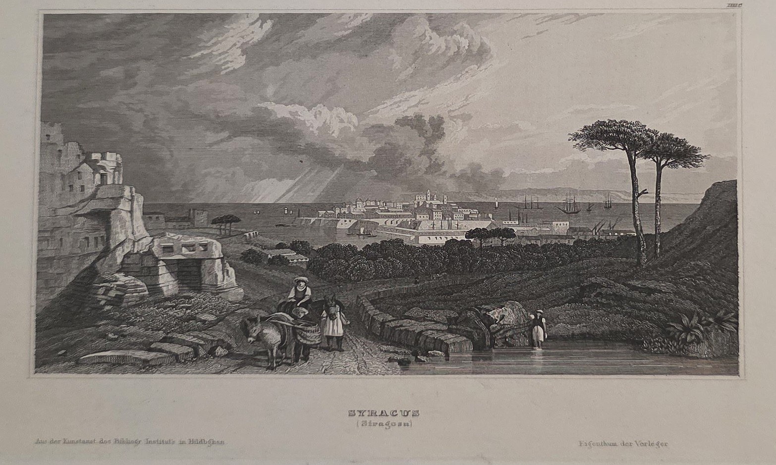 Weites Stadtpanorama mit markantem Baum