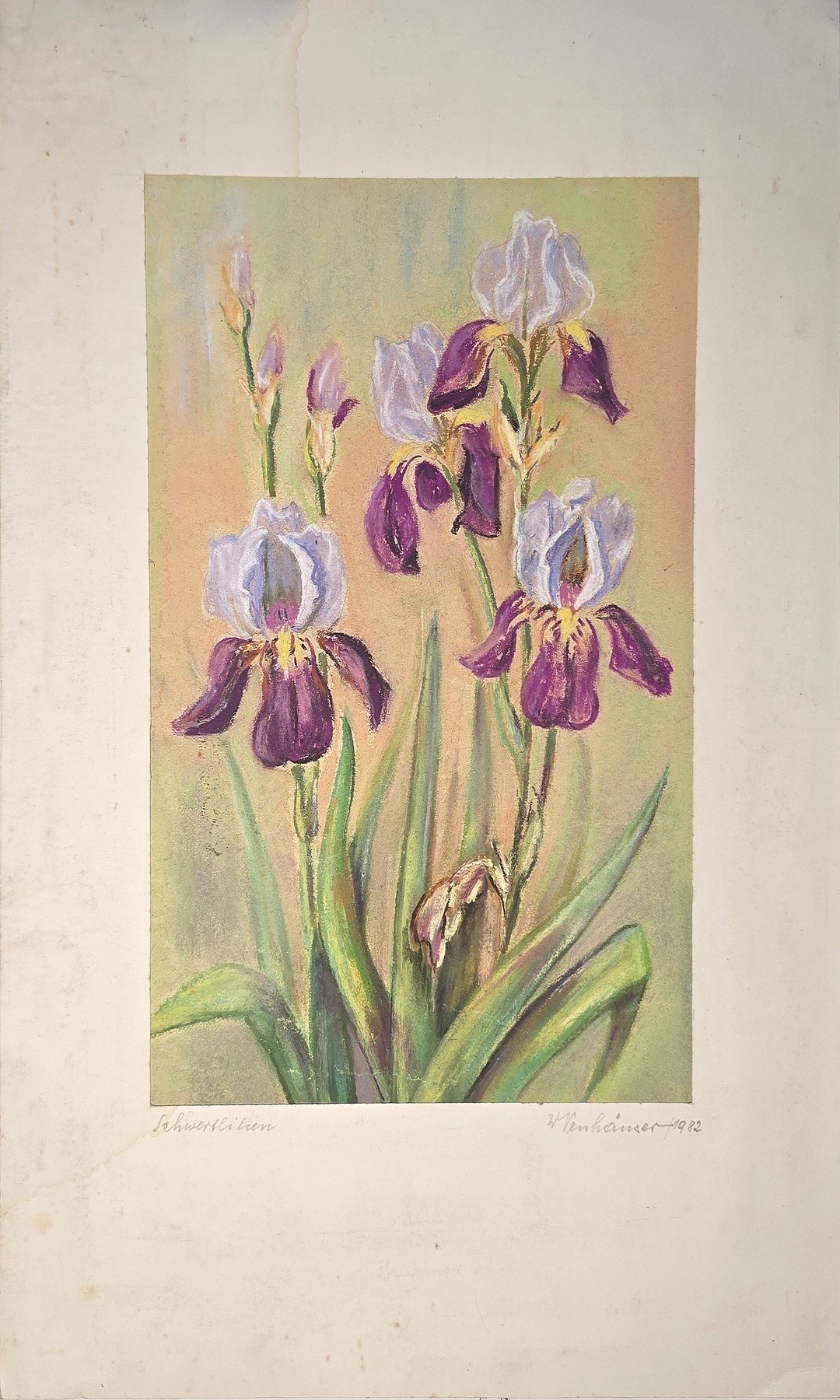 Aquarell mit violetten Irisblüten auf hellem Grund