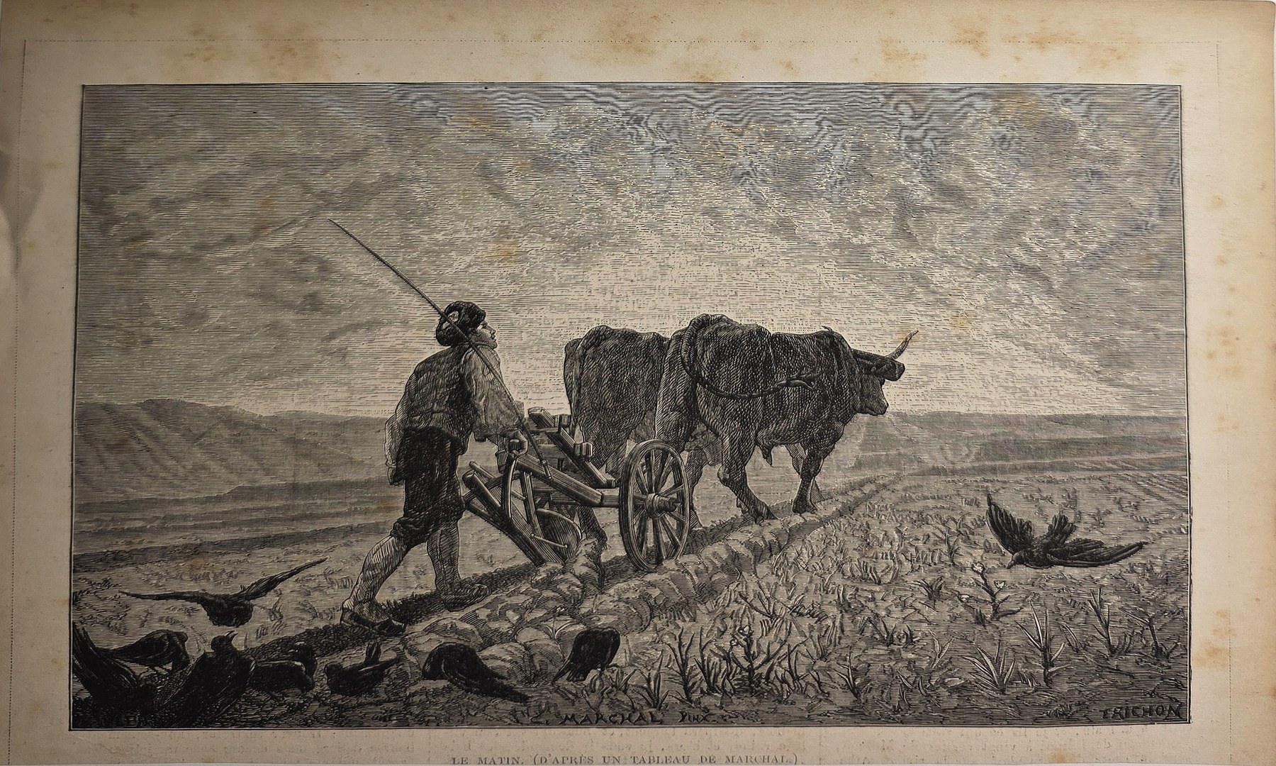 Bauer mit Rind auf offenem Feld