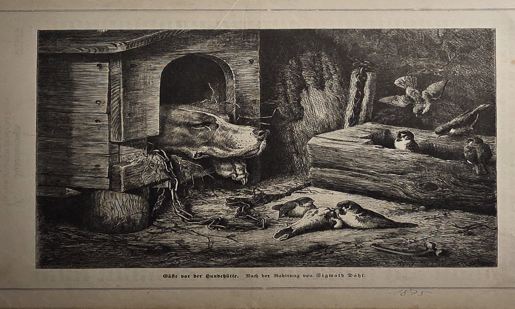 Großes Reptil in dunkler Ufer- oder Gehegeszene